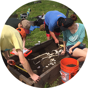 Anthropology Students Excavating Bones